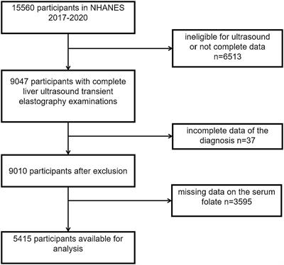The association between diverse serum folate with MAFLD and liver fibrosis based on NHANES 2017–2020